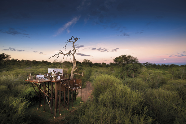 1. Chalkley Treehouse, South Africa