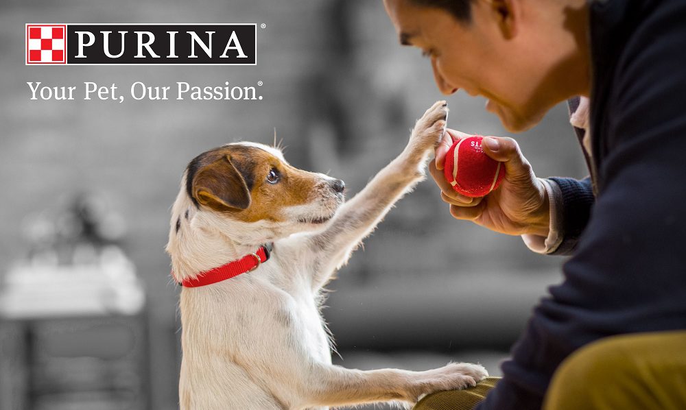 Nestle Purina