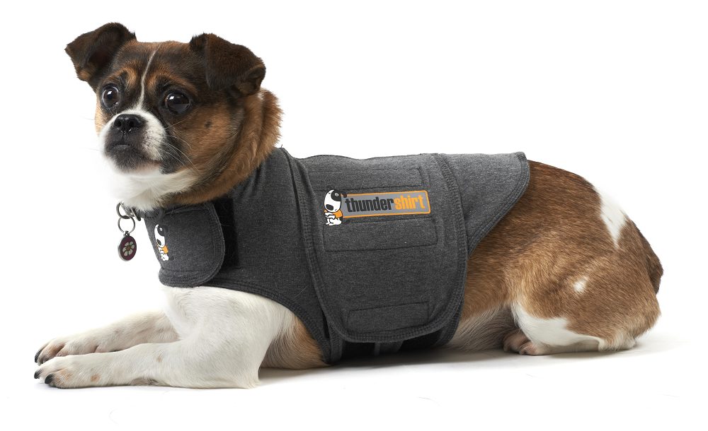 Thundershirt